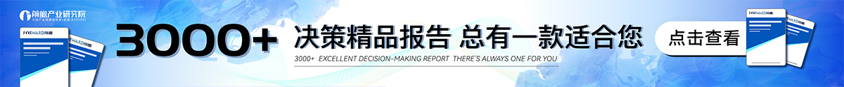 前瞻决策精品报告